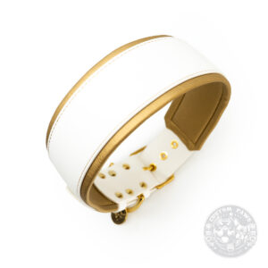 Gepolstertes Hundehalsband aus Biothane 