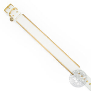 Gepolstertes Hundehalsband aus Biothane 