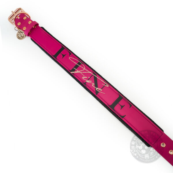 Gepolstertes Halsband aus Biothane "Name It" - Large – Bild 5