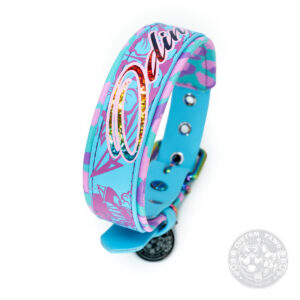 Gepolstertes Halsband aus Biothane 