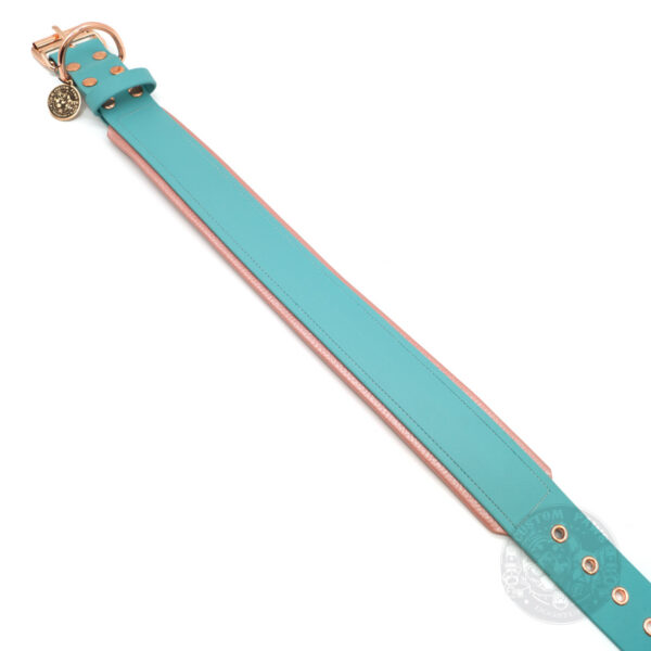 schlichtes halsband aus biothane