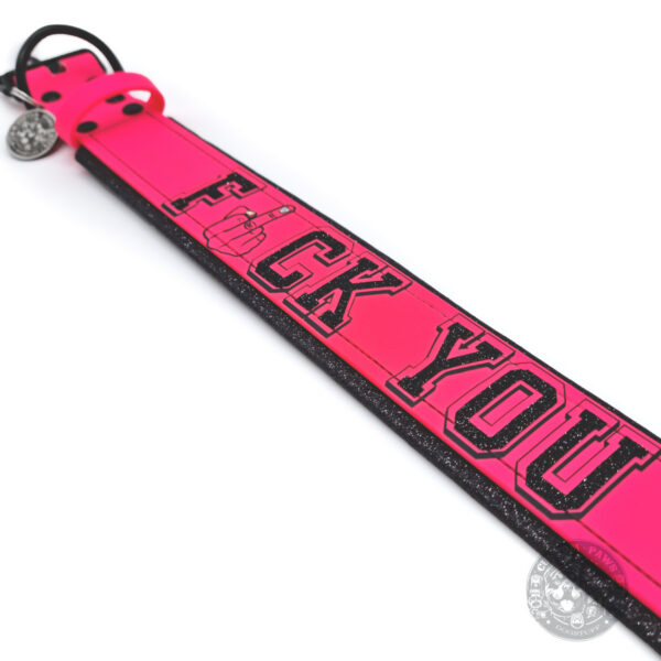 Gepolstertes Halsband aus Biothane  "F*ck You" | Large – Bild 2