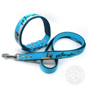 Personalisiertes Set aus Halsband & Leine – 