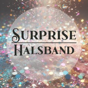Surprise Halsband – Dein individuelles Überraschungshalsband aus Biothane