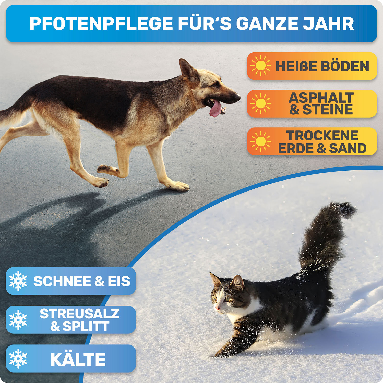 BLUEPET® - Pfotenbalsam & Nasenbalsam für Hunde – Bild 5