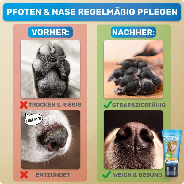 BLUEPET® - Pfotenbalsam & Nasenbalsam für Hunde – Bild 4