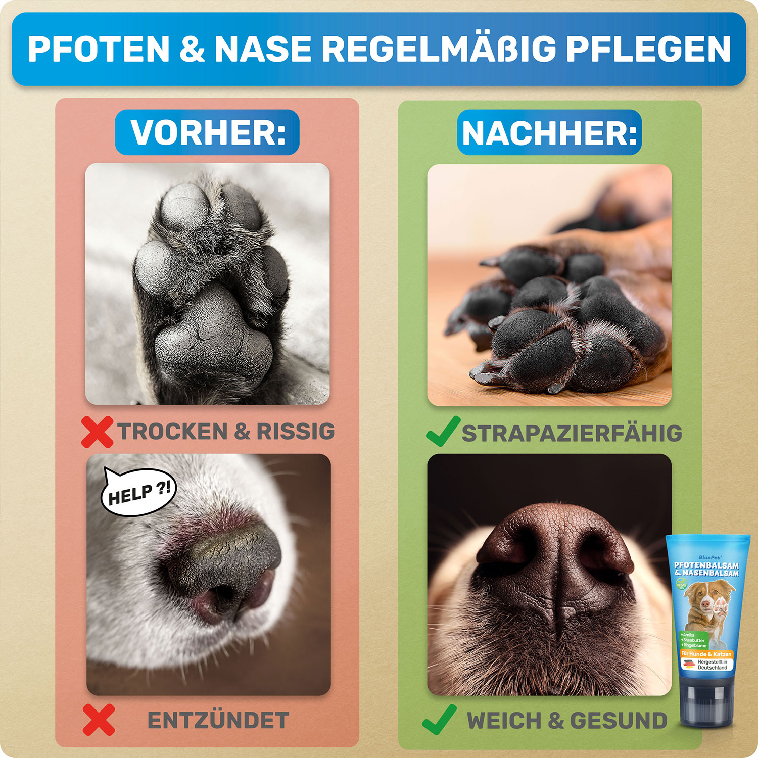 BLUEPET® - Pfotenbalsam & Nasenbalsam für Hunde – Bild 4