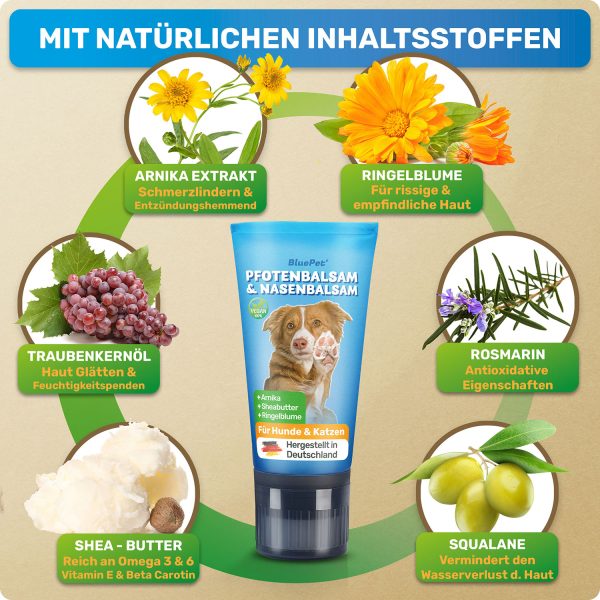 BLUEPET® - Pfotenbalsam & Nasenbalsam für Hunde – Bild 3