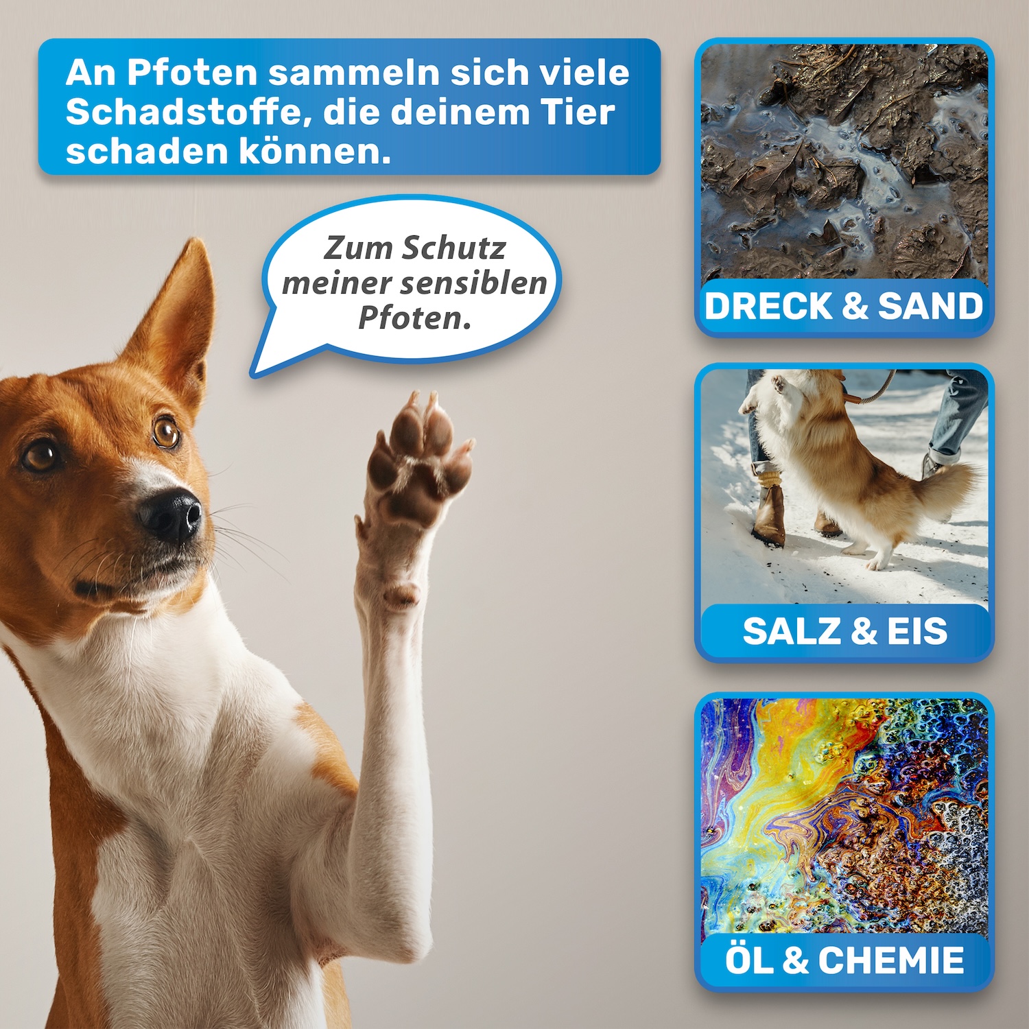 BLUEPET® - "PfotenBlitz" Pfotenreiniger – Bild 7