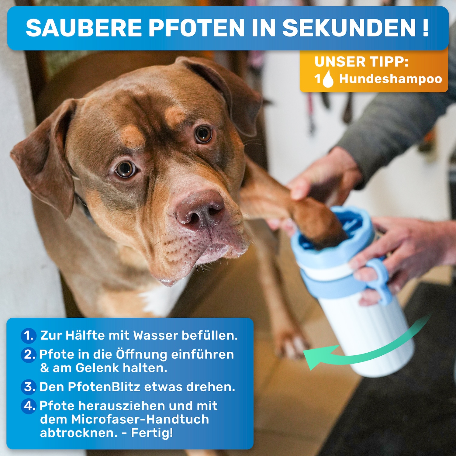 BLUEPET® - "PfotenBlitz" Pfotenreiniger – Bild 8