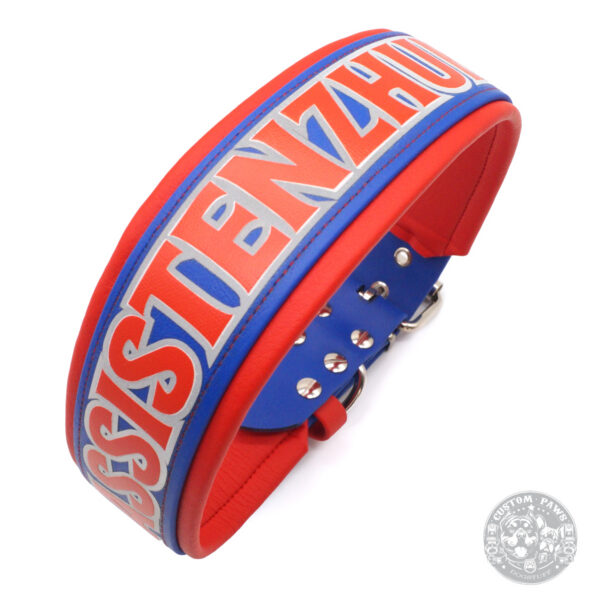 halsband assistenzhund blau rot