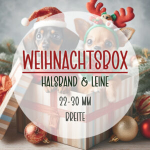 Custom Paws Dogstuff Weihnachtsbox 2025 | Halsband & Leine Set für kleine Hunde