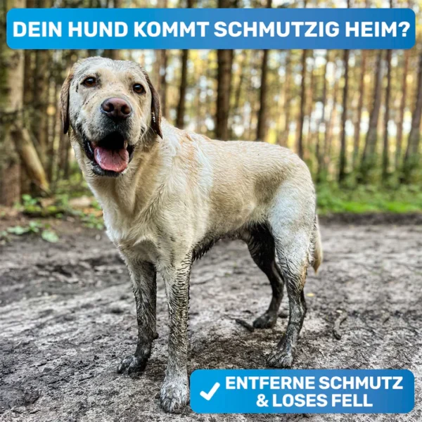 BLUEPET® - Befüllbare Badebürste für Hunde – Bild 3