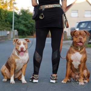 Adapterleine für Gassigürtel -