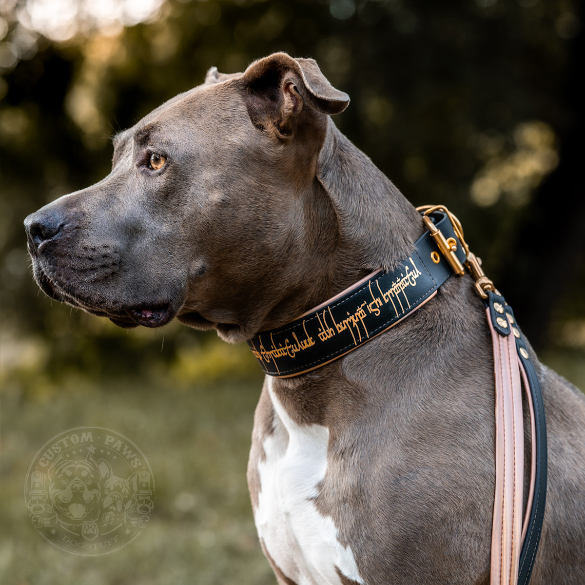 Gepolstertes Halsband aus Biothane "Keepers Bond" | Large – Bild 2