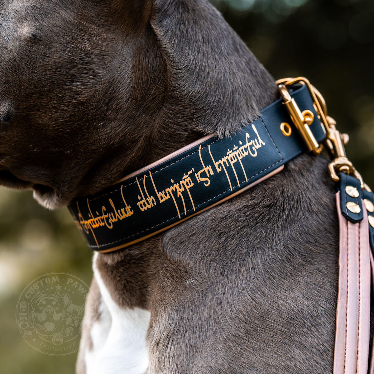 Gepolstertes Halsband aus Biothane "Keepers Bond" | Large – Bild 3