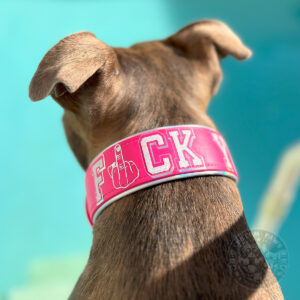statement halsband fuck you