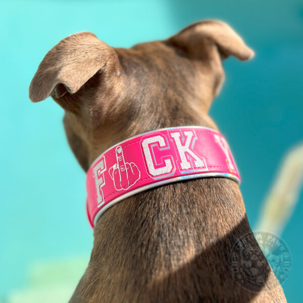 Gepolstertes Halsband aus Biothane  "F*ck You" | Large – Bild 2