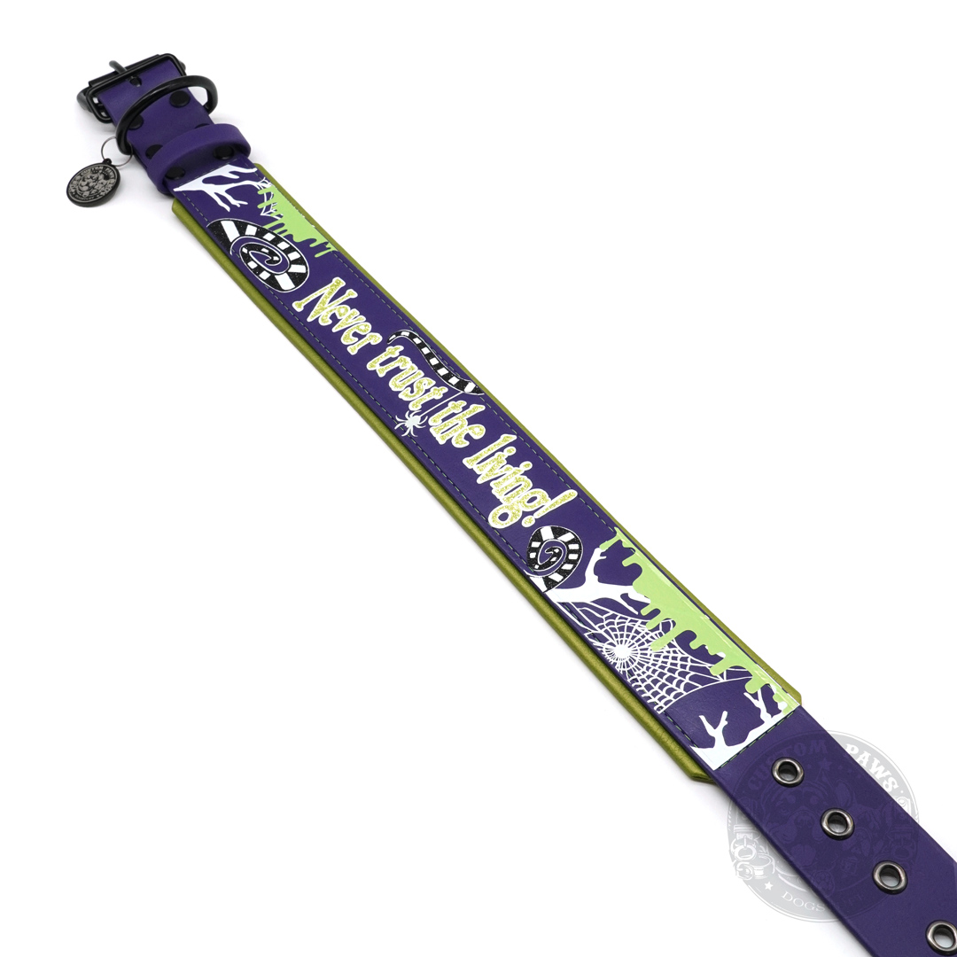 Gepolstertes Halsband aus Biothane "Barkjuice" | Large – Bild 7