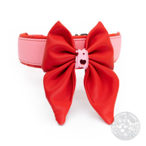 Abnehmbare Schleife für dein Halsband 