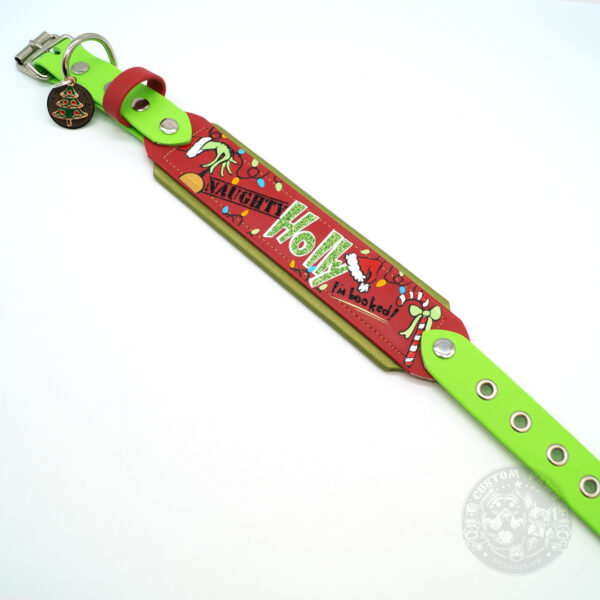 Gepolstertes Halsband aus Biothane mit Verjüngung "Naughty Pup" | Medium-Large – Bild 3