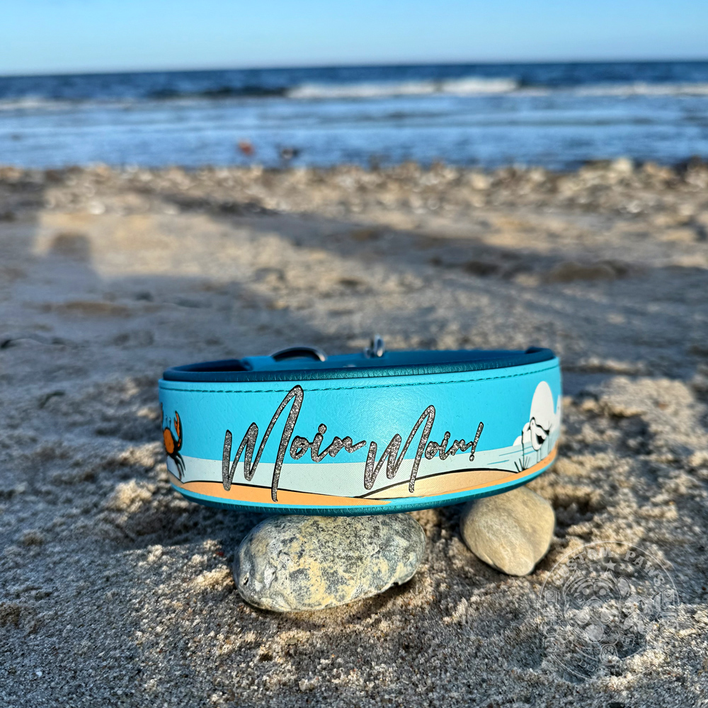 Gepolstertes Halsband aus Biothane "Northsea" | Large – Bild 3