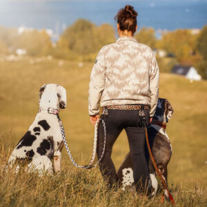 Sofortkauf Gassigürtel aus Biothane