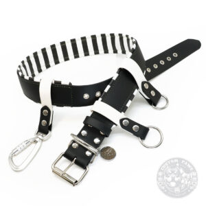 Sofortkauf Gassigürtel aus Biothane