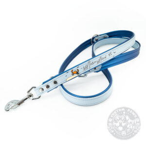 Personalisiertes Set aus Halsband & Leine – 