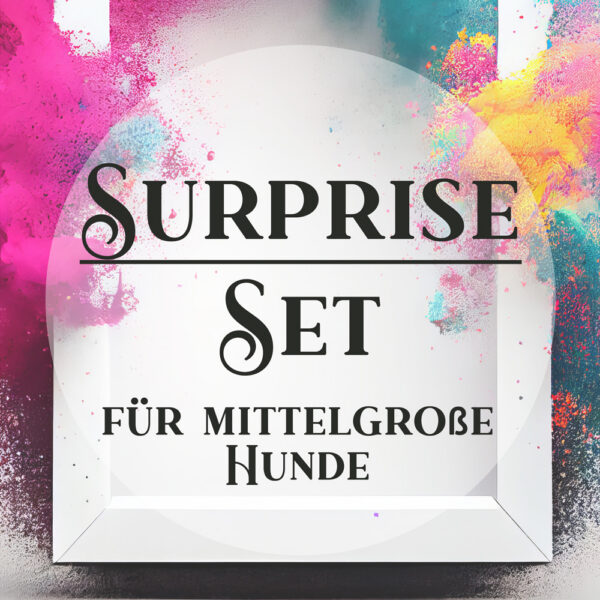 Individuelles Set aus Halsband & Leine für kleine bis mittelgroße Hunde - "Surprise" | Medium