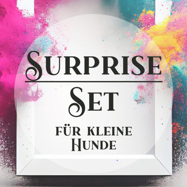 Individuelles Set aus Halsband & Leine für kleine bis sehr kleine Hunde - "Surprise" | Slim
