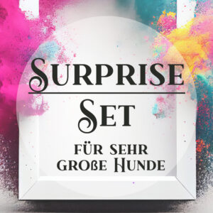 Individuelles Set aus Halsband & Leine für große bis sehr große Hunde - 