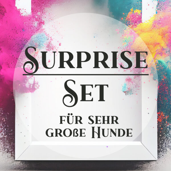 Individuelles Set aus Halsband & Leine für große bis sehr große Hunde - "Surprise" | Extra Large
