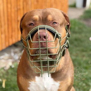VORVERKAUF | Drahtmaulkorb Unimon - American Bully XL