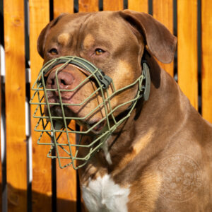 maukorb für american bully xl