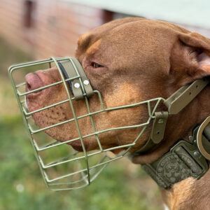 VORVERKAUF | Drahtmaulkorb Unimon - American Bully XL