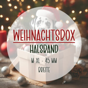 Custom Paws Dogstuff Weihnachtsbox 2025 | Exklusives Halsband
