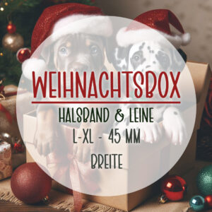 Custom Paws Dogstuff Weihnachtsbox 2025 | Exklusives Halsband & Leine Set für große Hunde