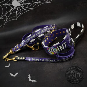 Verstellbare Cross Body Hundeleine aus Biothane mit integriertem Kurzführer | „Halloween Edition 2025“