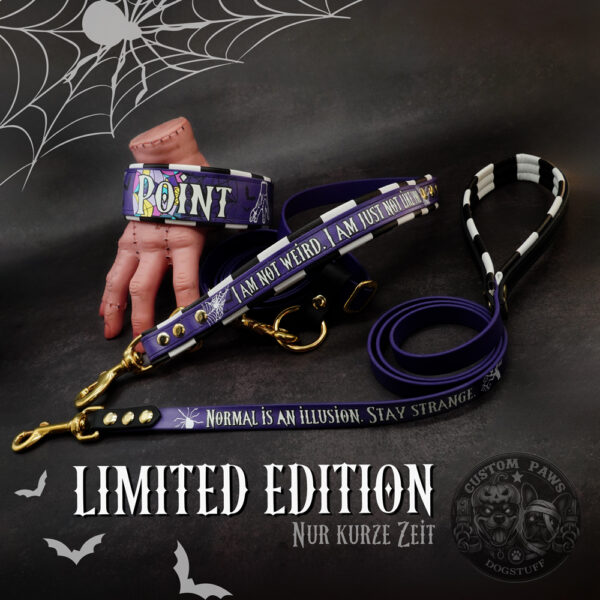 Personalisiertes Set aus Halsband & Leine – „Halloween Edition 2025“ für mittelgroße bis große Hunde