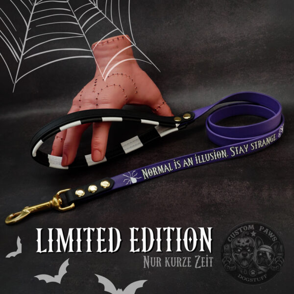 Hundeleine aus Biothane "Halloween Edition 2025" | mit gepolsterter Handschlaufe