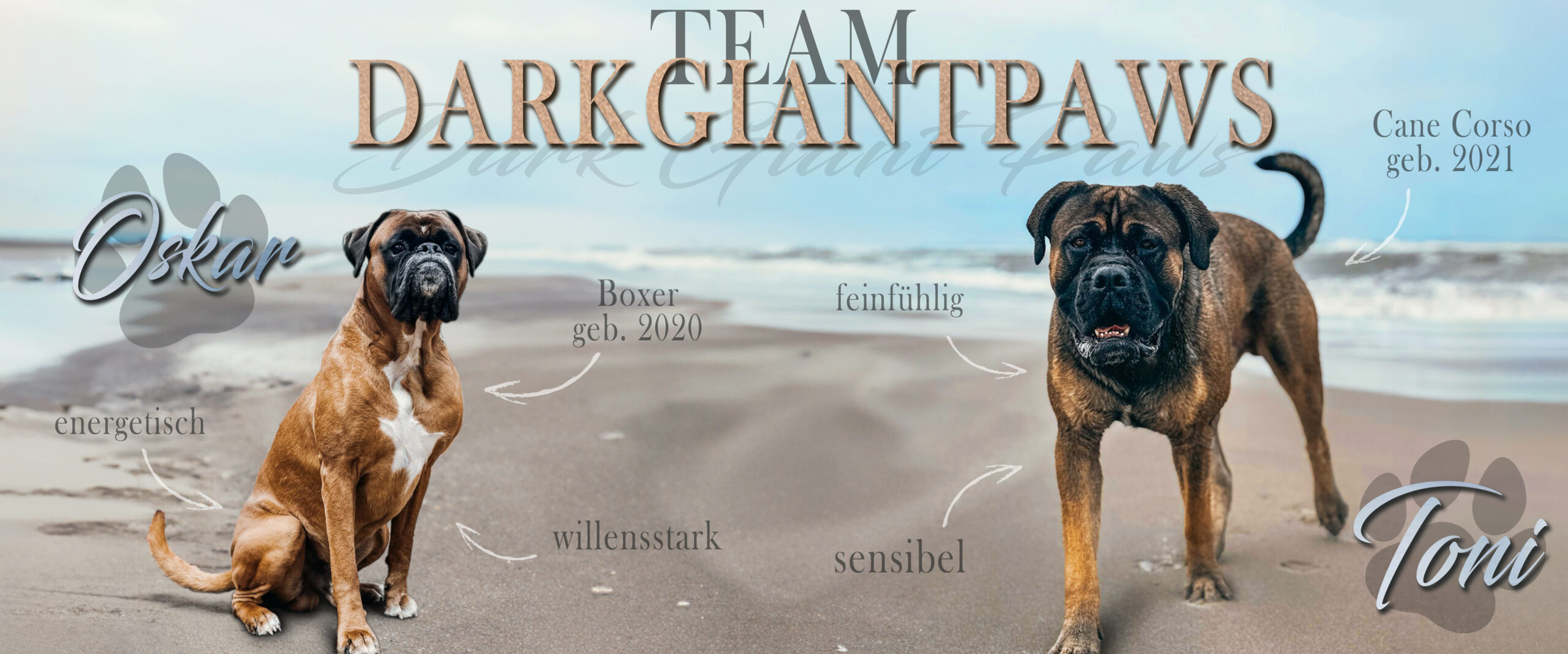 Individuelles "Website Banner" – modernes Header-Design für Homepage & Onlineshop