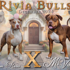 Individuelles Social Media