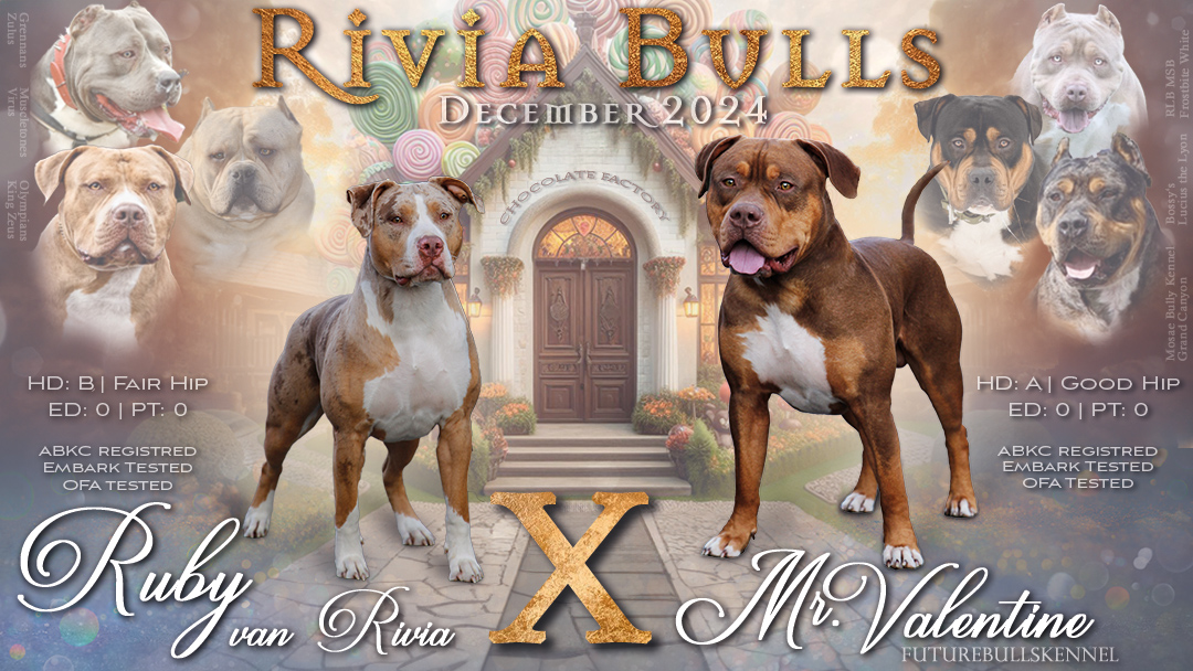 Individuelles Social Media "Breeding Banner" – professionelles Zuchtbanner für Hunde