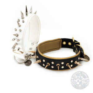 Gepolstertes Nietenhalsband aus Biothane 