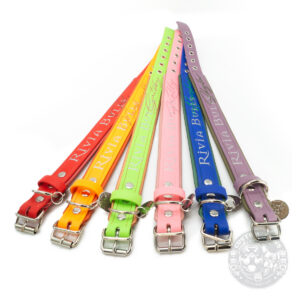 welpenset_halsbänder_shop_überarbeitet1