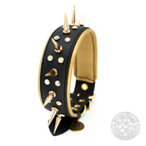 Sofortkauf Gepolstertes Nietenhalsband aus Biothane