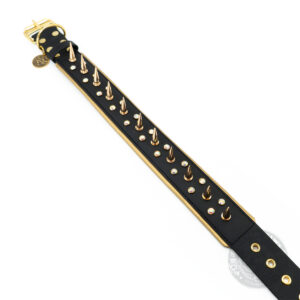 Sofortkauf Gepolstertes Nietenhalsband aus Biothane