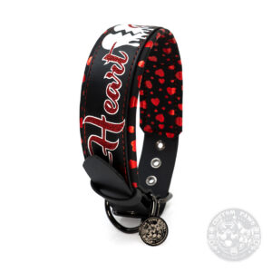 Sofortkauf: Gepolstertes Halsband aus Biothane „Heart Breaker“ | Large | Schwarz | HU 38–48 cm (Kopie)