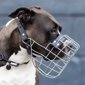 Drahtmaulkorb Unimon | Staffordshire Terrier Girl